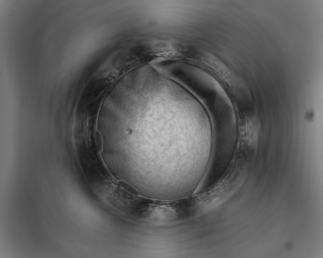 X0000097840572200803281227