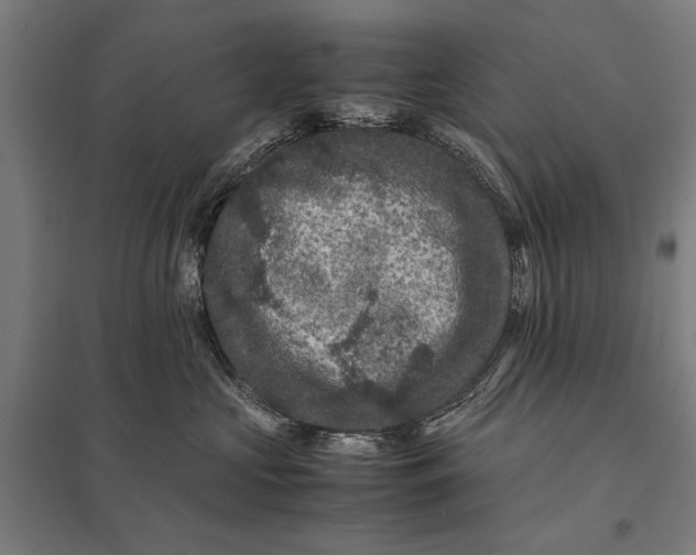 X0000097840573200803281227
