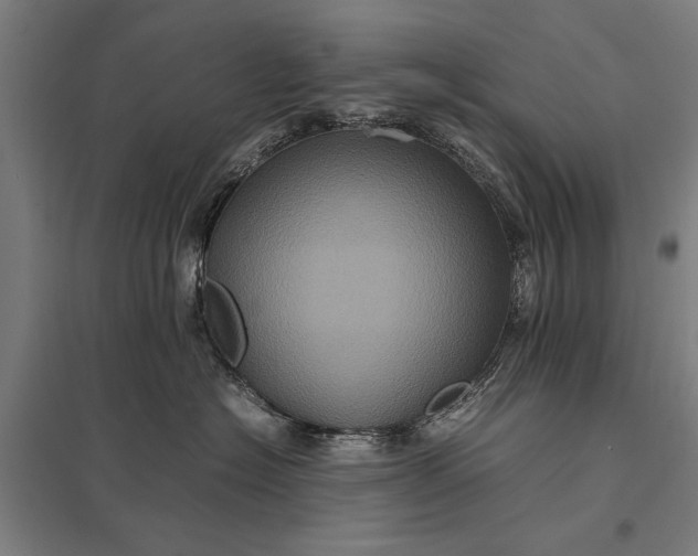 X0000097840574200803281227