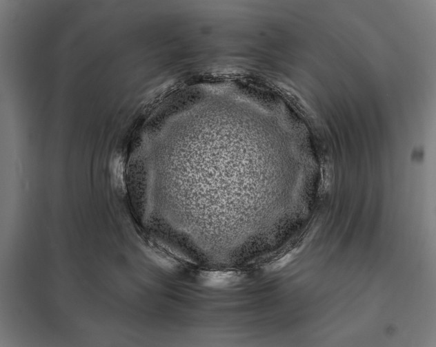X0000097840575200803281227