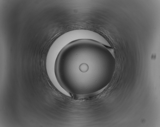 X0000097840576200803281227