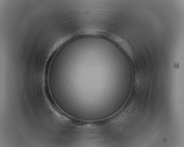 X0000097840578200803281226