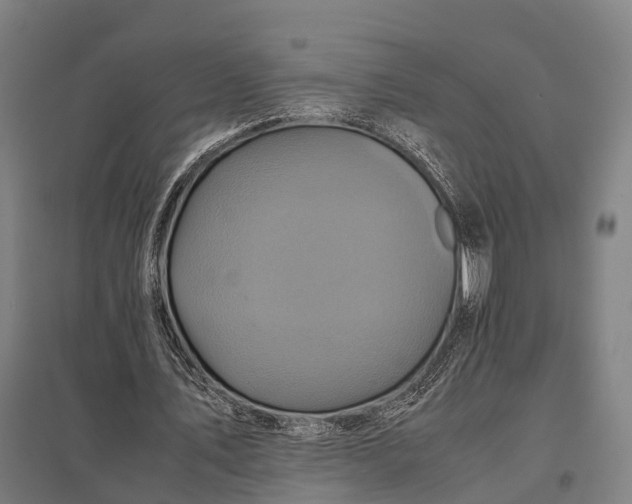 X0000097840579200803281226