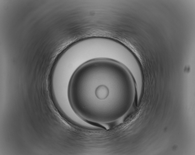 X0000097840581200803281226