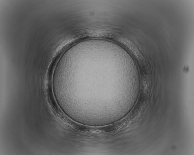 X0000097840583200803281226