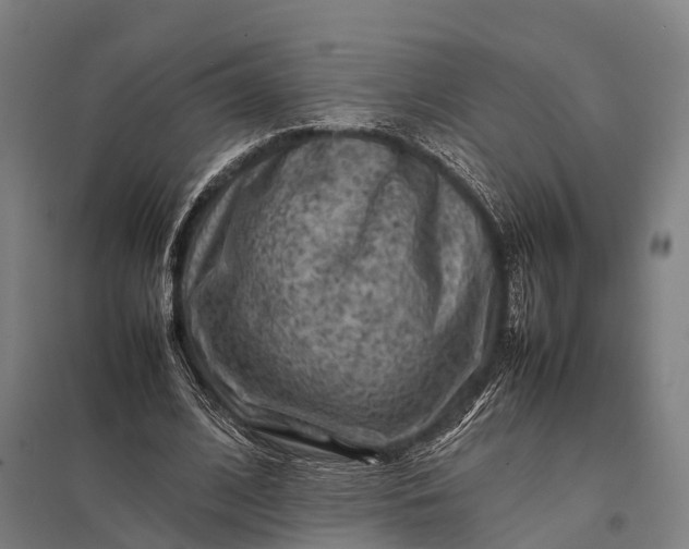 X0000097840584200803281226
