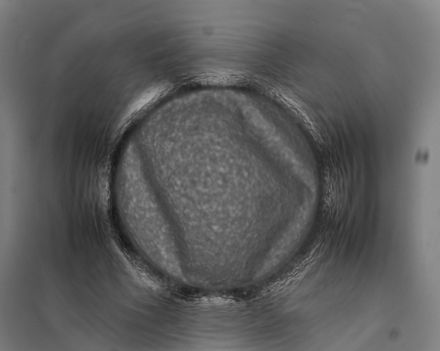 X0000097840586200803281226