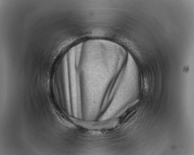 X0000097840588200803281226
