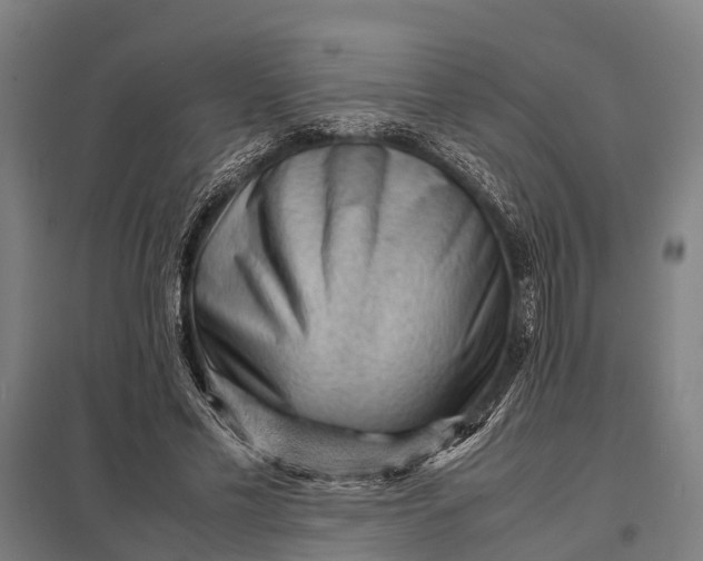 X0000097840589200803281226