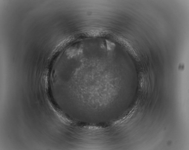 X0000097840590200803281226