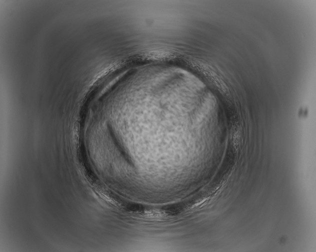 X0000097840591200803281226