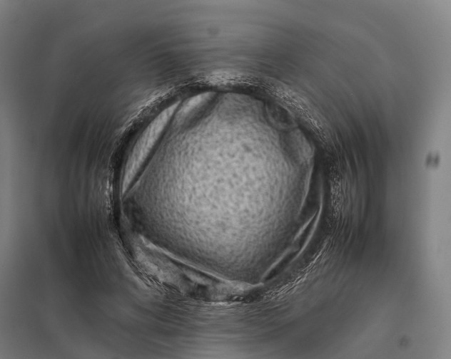 X0000097840592200803281226