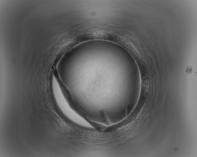 X0000097840593200803281226