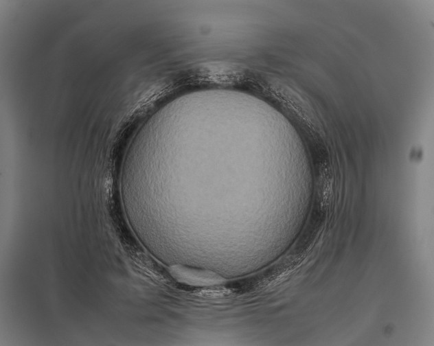 X0000097840595200803281226