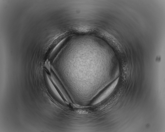 X0000097840596200803281226