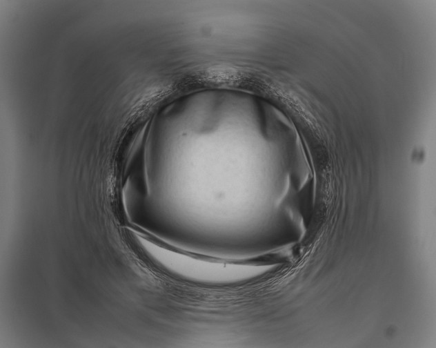 X0000097840597200803281226