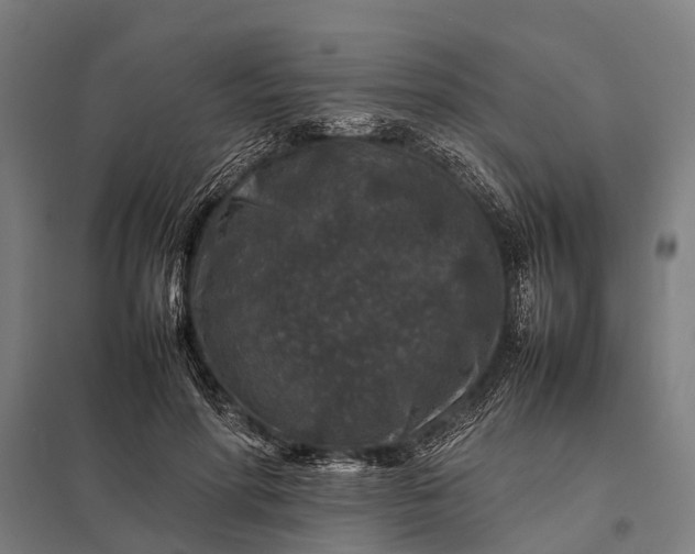 X0000097840598200803281226