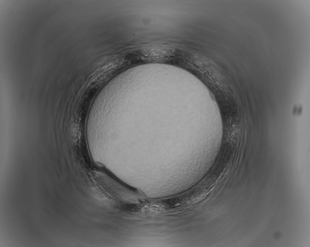 X0000097840599200803281226