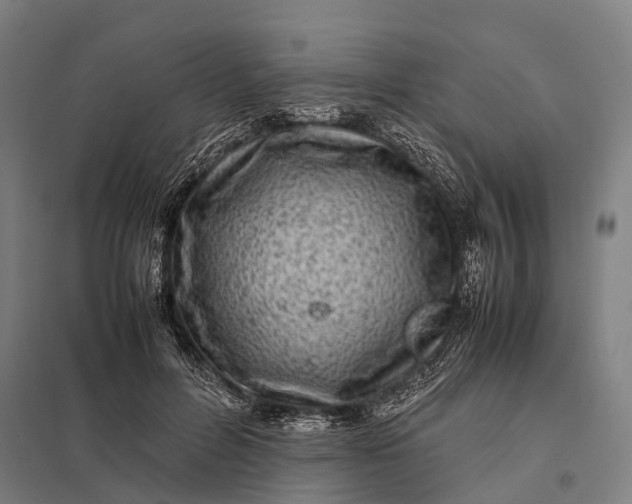 X0000097840600200803281226
