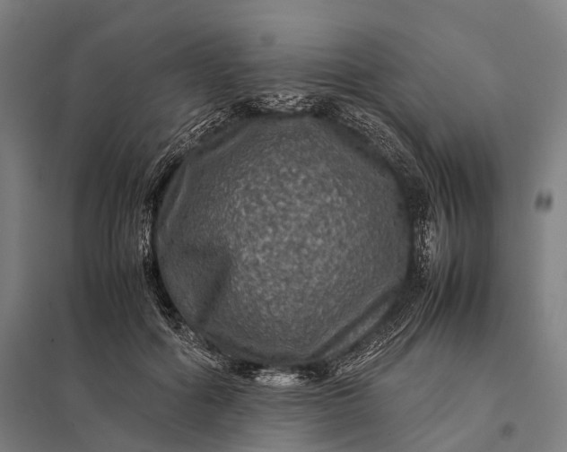 X0000097840602200803281225
