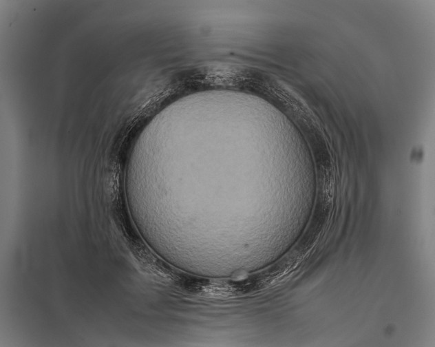 X0000097840603200803281225