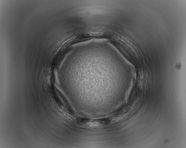 X0000097840604200803281225