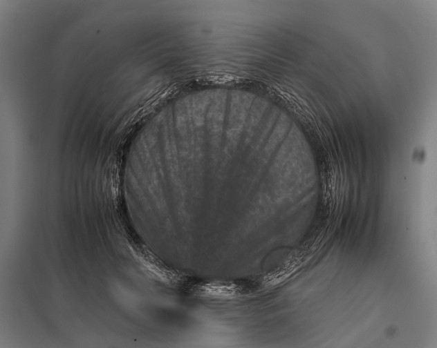 X0000097840606200803281225