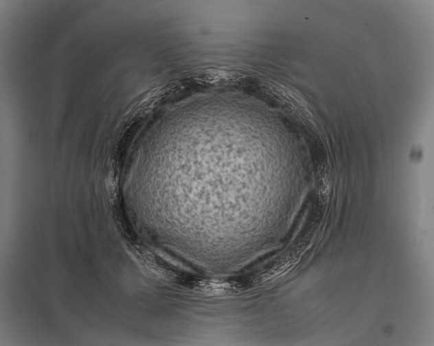 X0000097840607200803281225