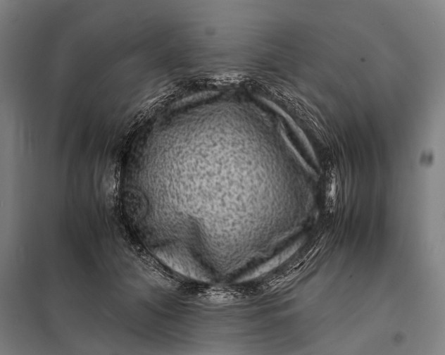 X0000097840608200803281225