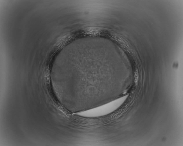 X0000097840609200803281225