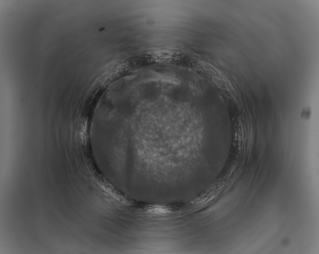 X0000097840610200803281225