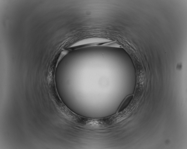 X0000097840611200803281225