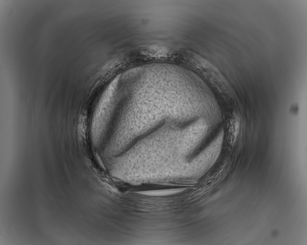 X0000097840612200803281225