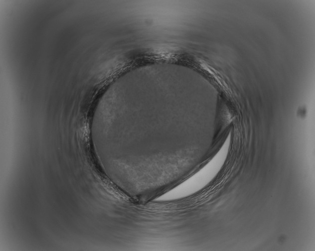 X0000097840613200803281225
