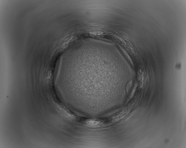 X0000097840614200803281225