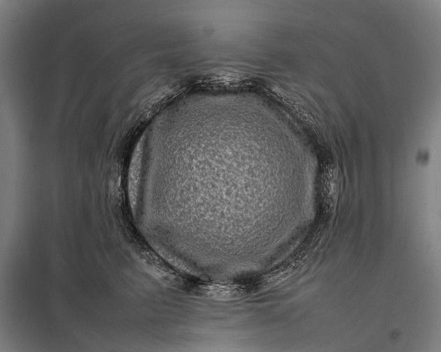 X0000097840615200803281225