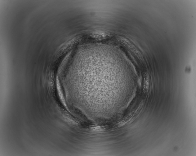 X0000097840616200803281225