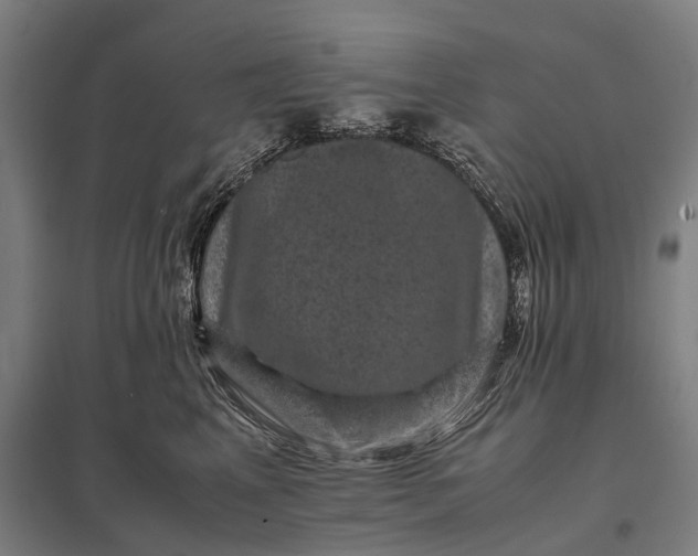 X0000097840617200803281225