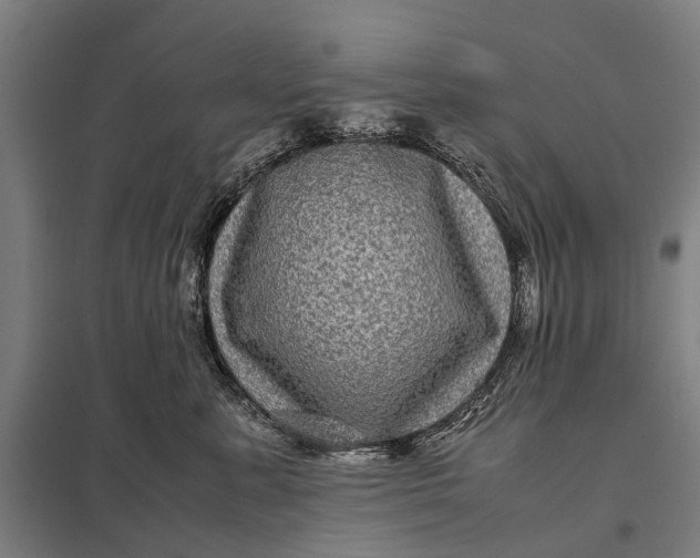 X0000097840619200803281225