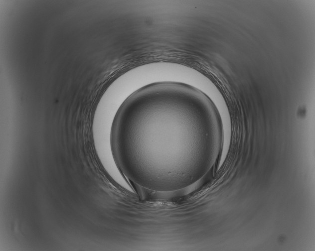 X0000097840621200803281225