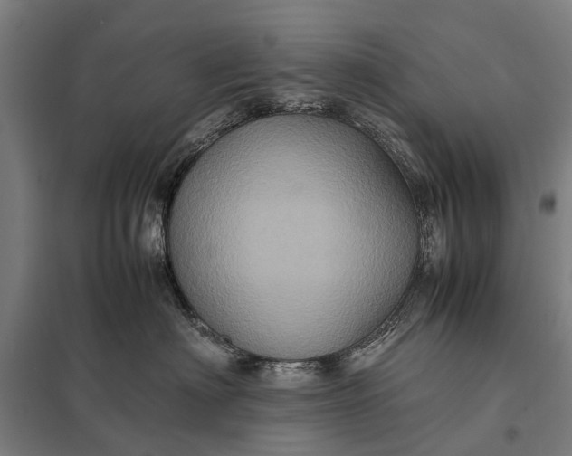 X0000097840622200803281225