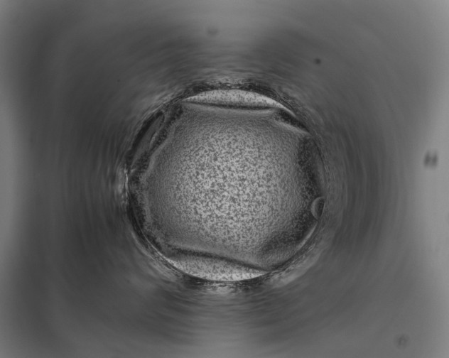 X0000097840624200803281225