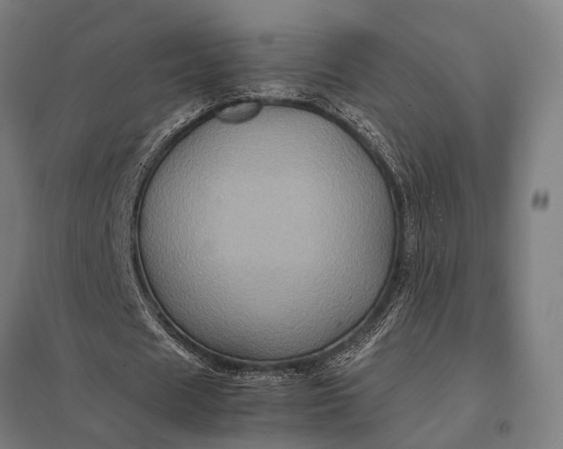 X0000097840625200803281224