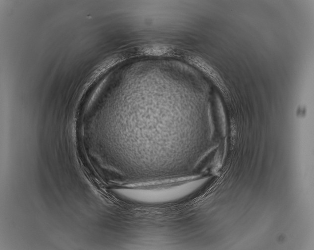 X0000097840626200803281224