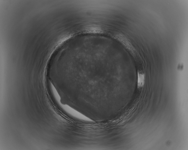 X0000097840627200803281224