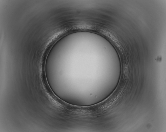 X0000097840629200803281224