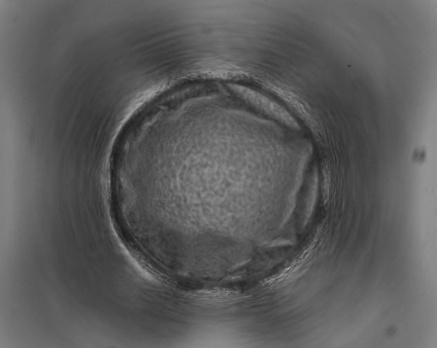 X0000097840630200803281224