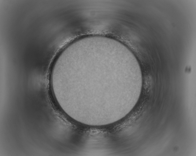 X0000097840632200803281224