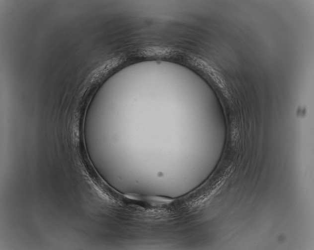 X0000097840633200803281225