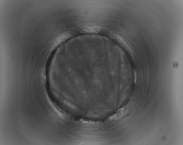 X0000097840634200803281225